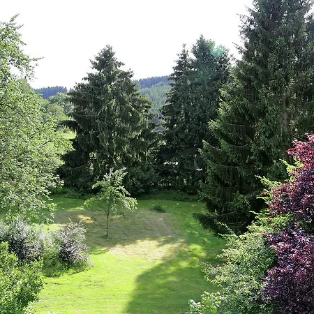 Comfortable Holiday In With Sauna 別荘 Balesfeld